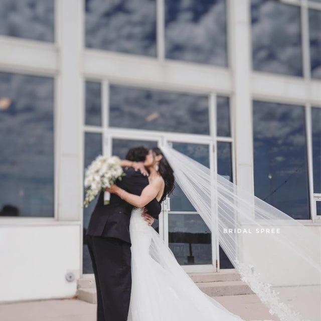 STUNNING Mid-Lace Cathedral Veil